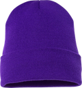 Purple Cuffed Beanie image 0