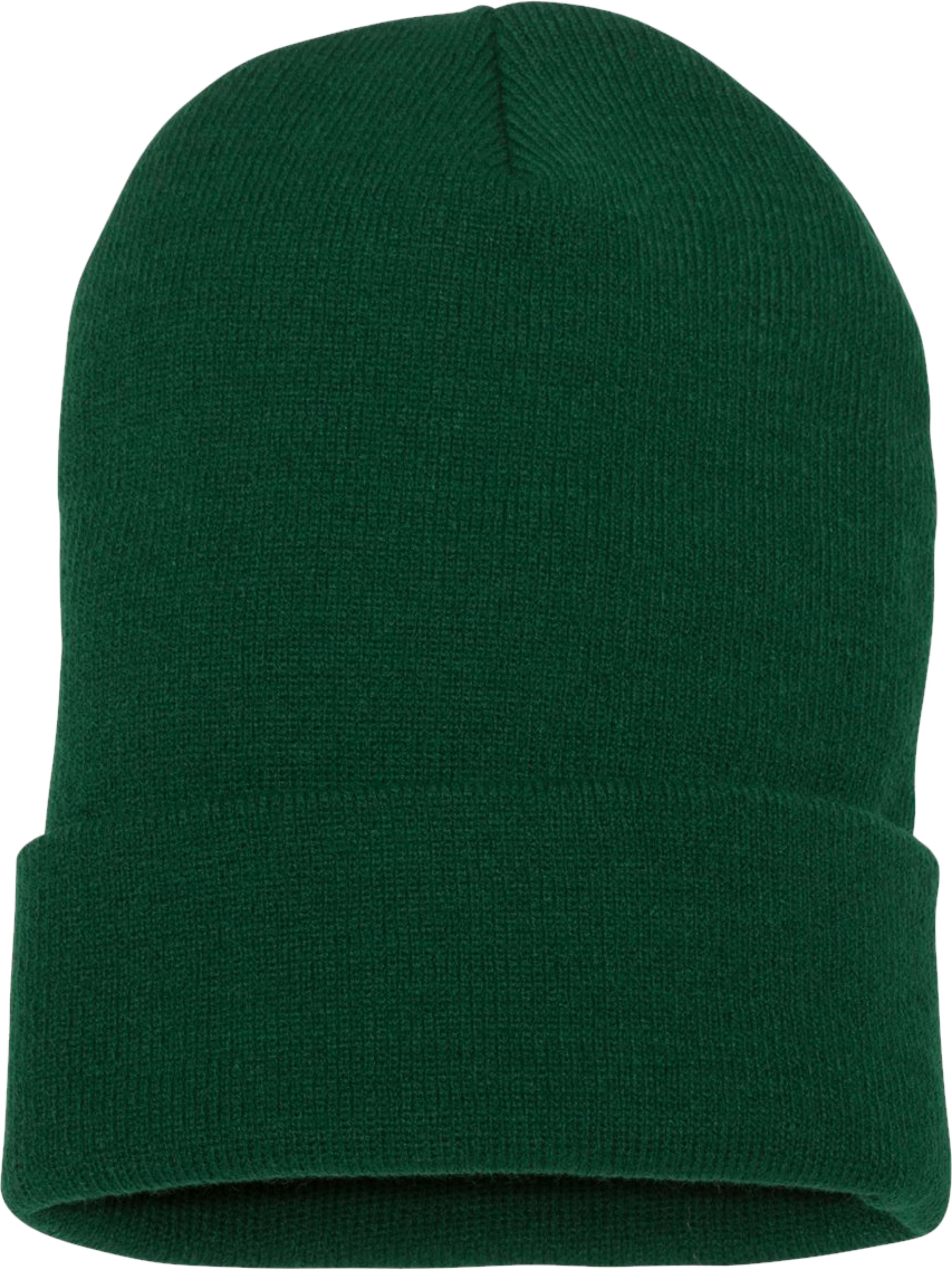 Spruce Cuffed Beanie image 0