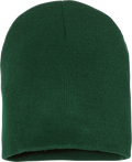 Spruce Beanie image 0
